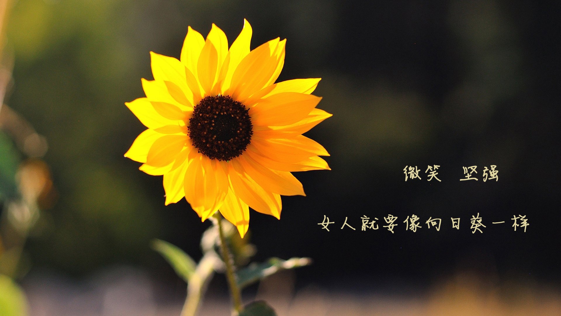 APEX英雄 赛季末战况激烈，apex这赛季到哪天
