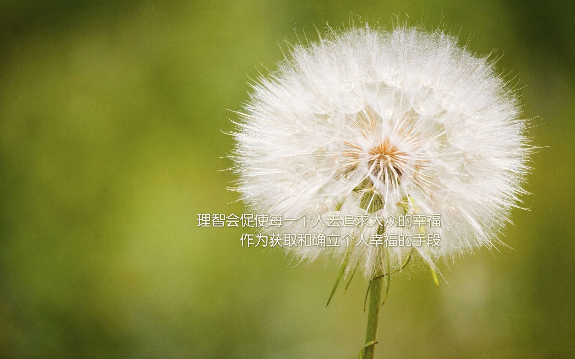 vwin德赢网页版-快船球队战术调整效果明显，快船球队球员名单