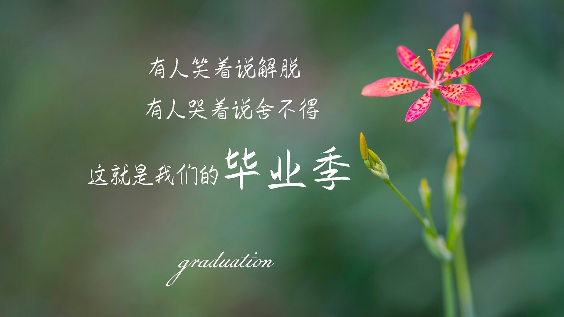 德赢体育app下载安装-中国女篮阵容稳定 球员默契渐佳，最新中国女篮队员介绍