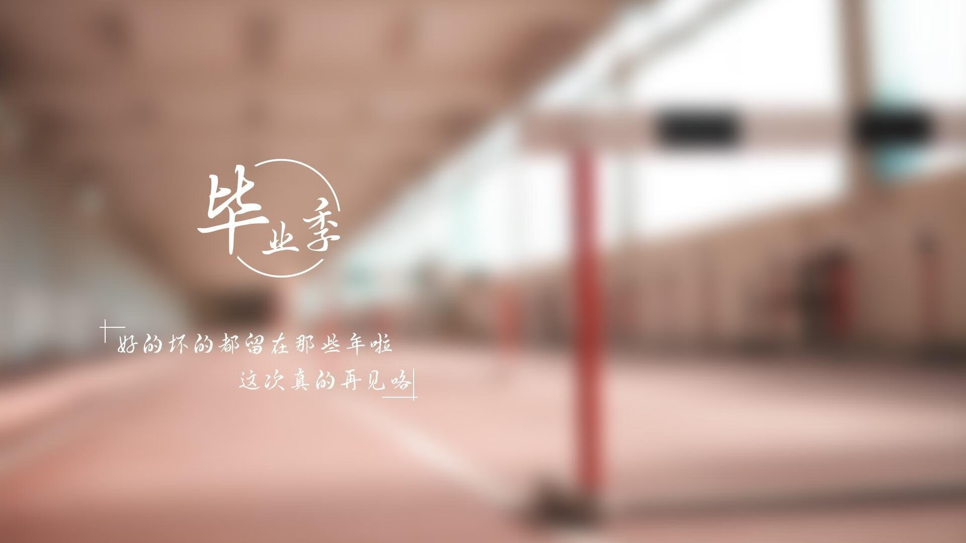 vwin在线登录电脑版-技术雷达图显示团队整体进步，团队成长雷达图